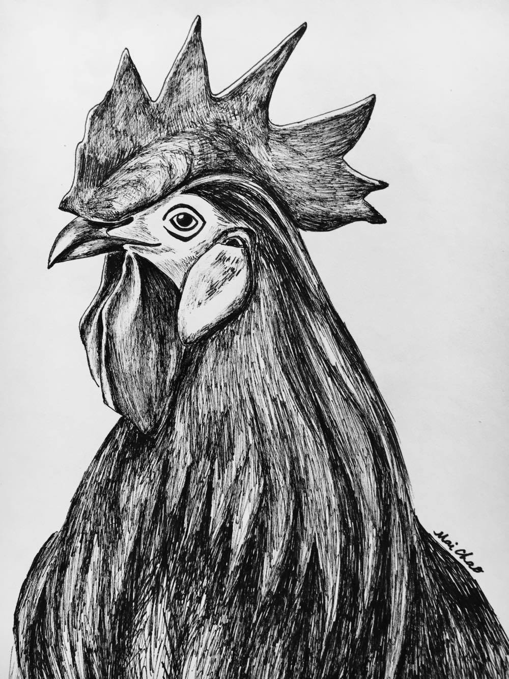 The Brave Rooster, Lao Kai
