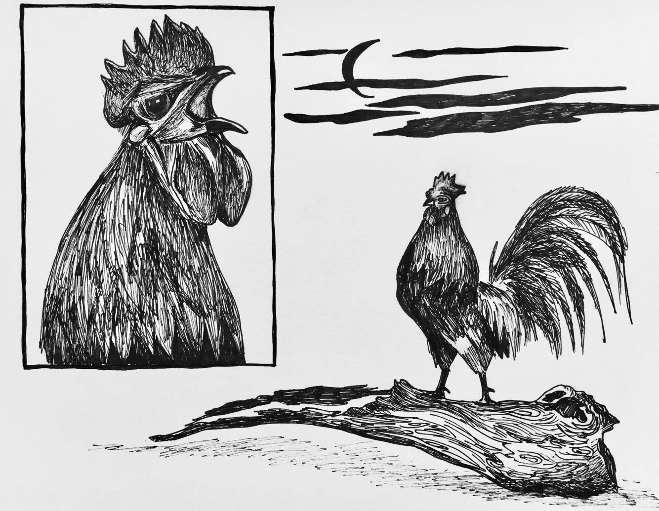 Brave Rooster Illustration