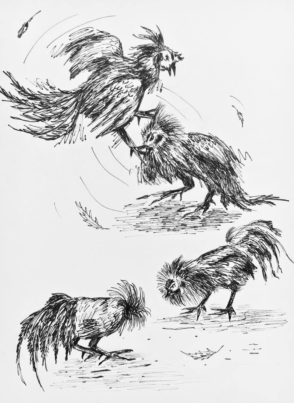 Brave Rooster Illustration